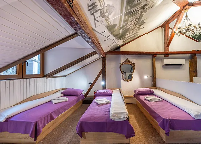 House For Up To 20 Guests Entire Place ゲストハウス ソフィア