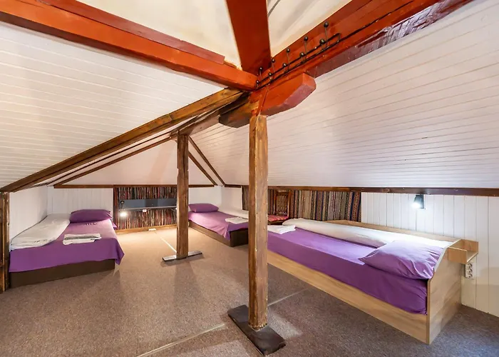 House For Up To 20 Guests Entire Place ソフィア