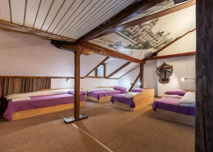 House For Up To 20 Guests Entire Place ゲストハウス *