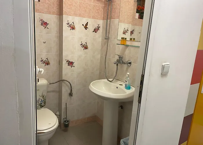 House For Up To 20 Guests Entire Place ゲストハウス ソフィア